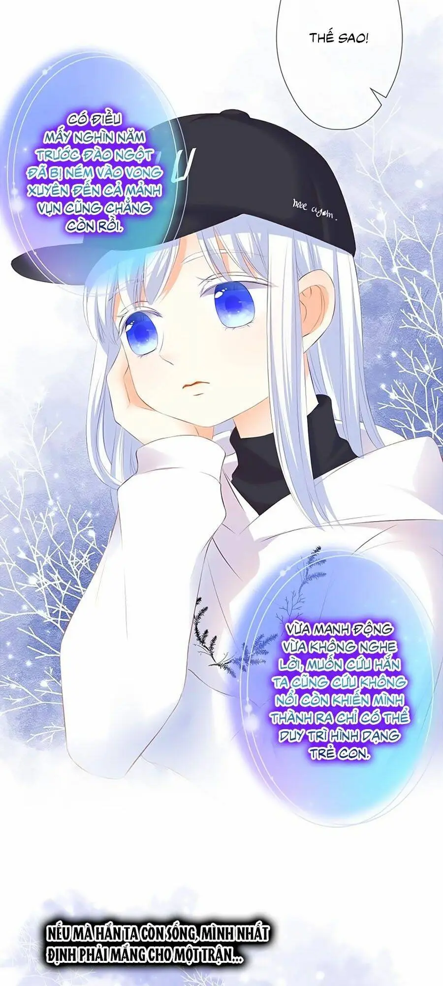 Chapter 48