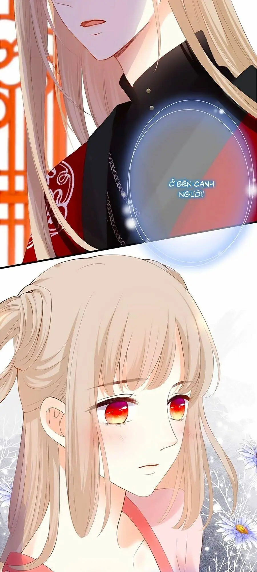 Chapter 48