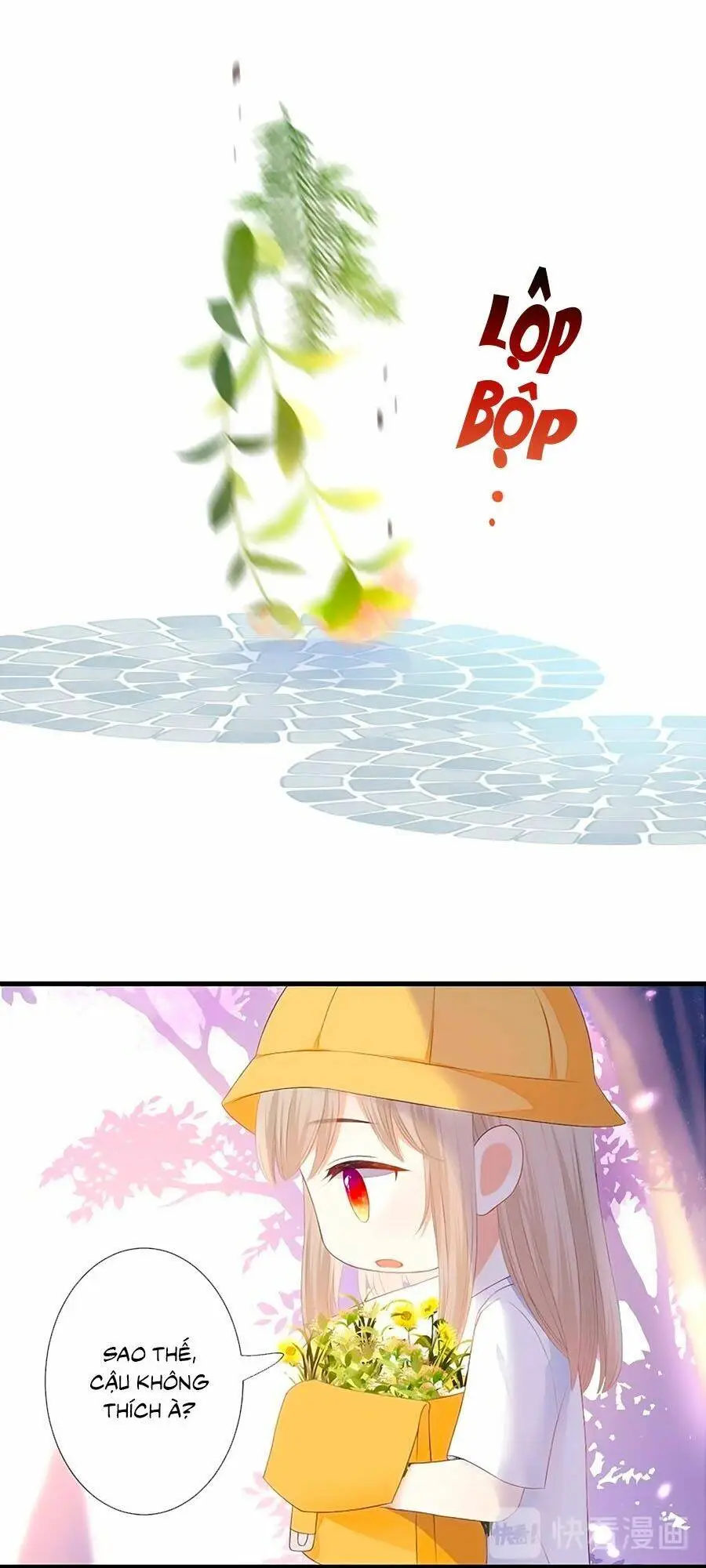 Chapter 39.6