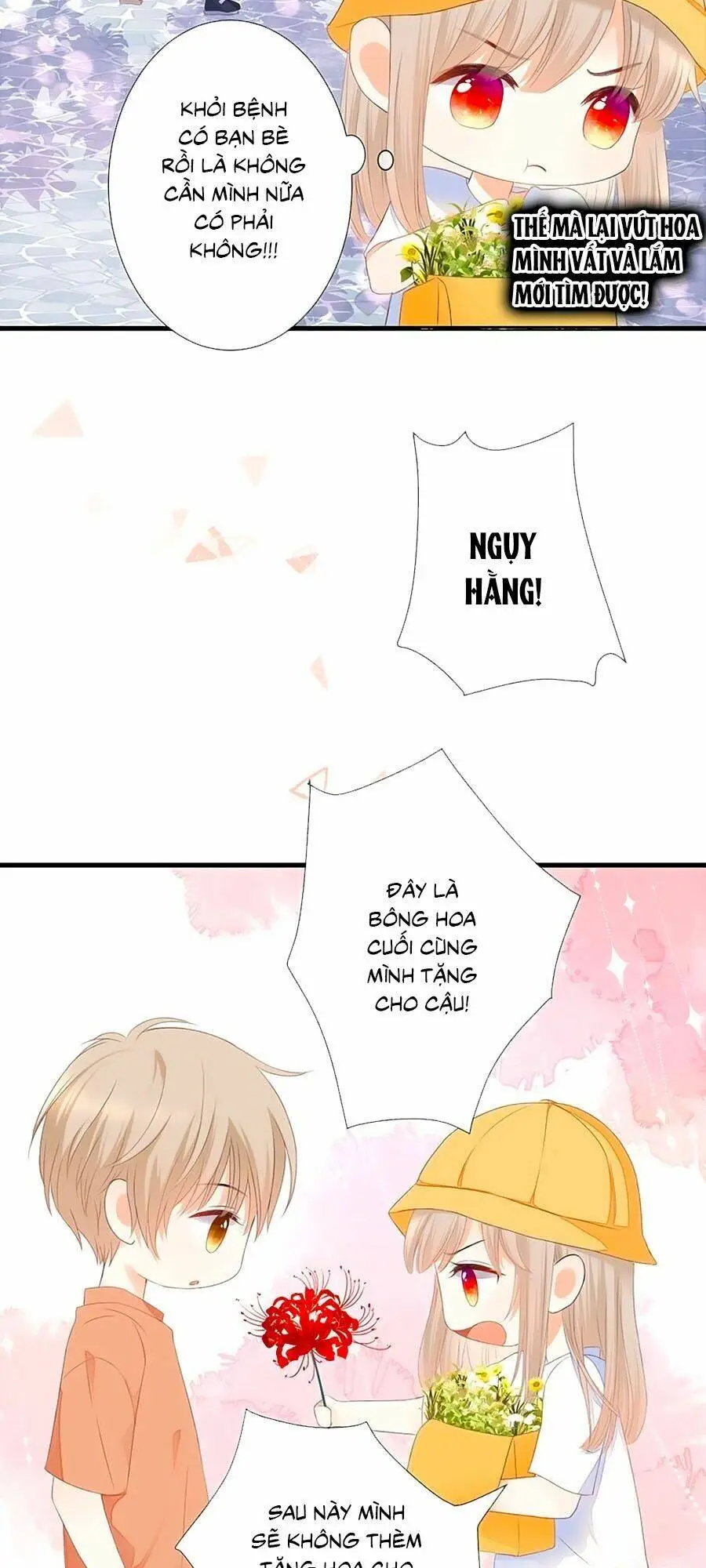 Chapter 39.6