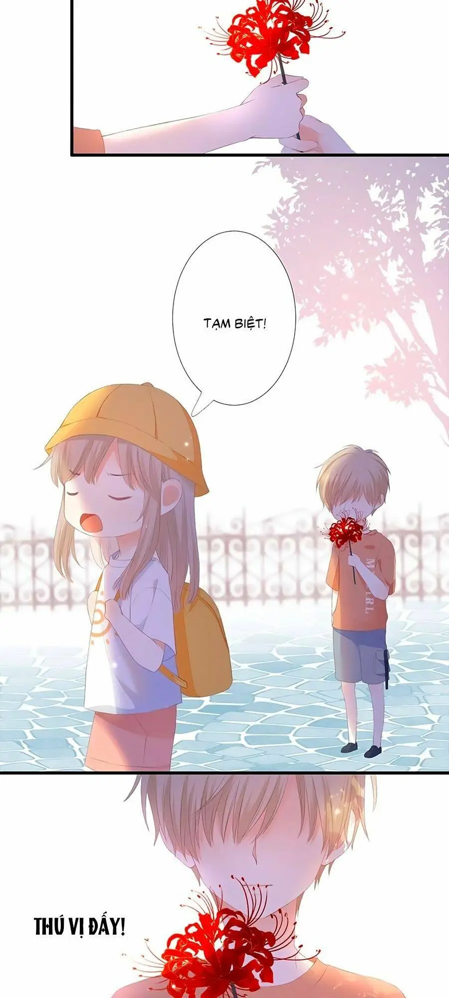 Chapter 39.6