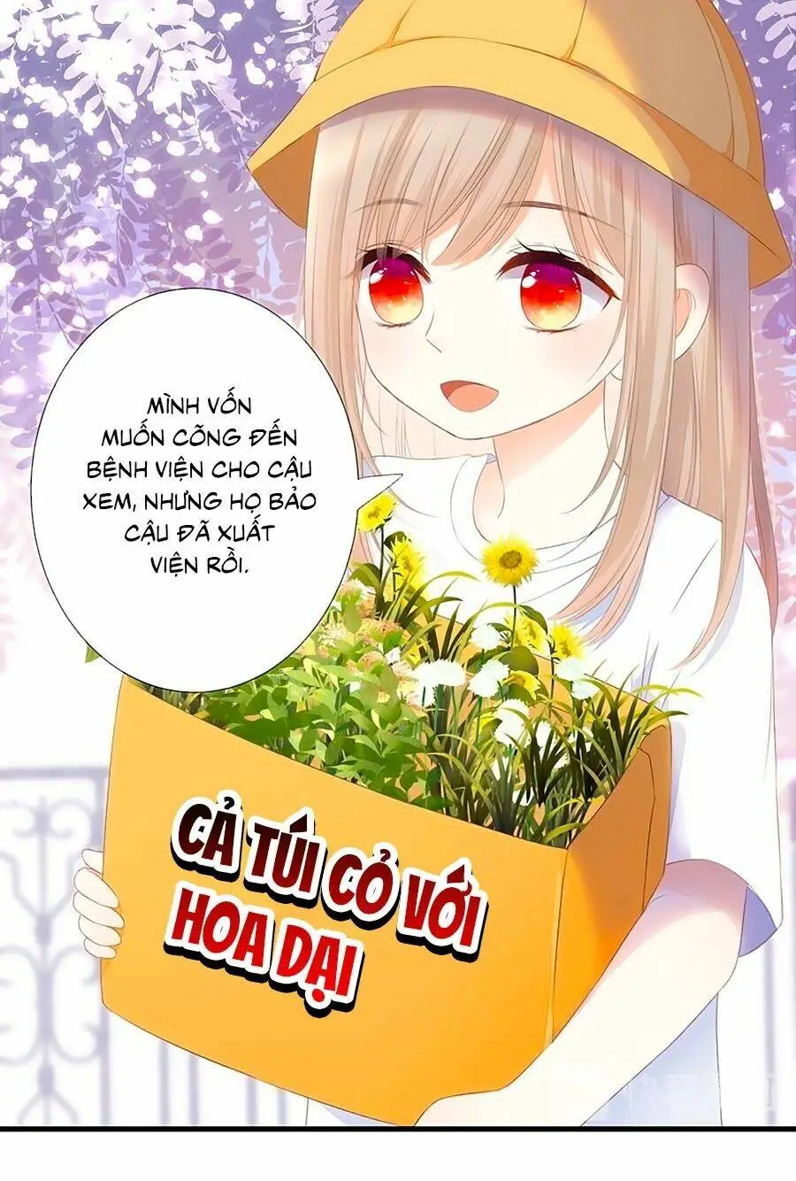 Chapter 39.6