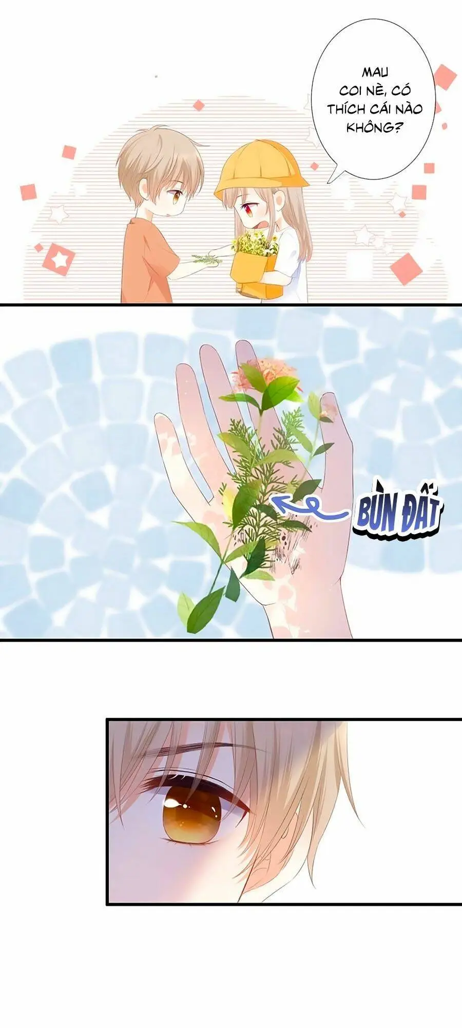 Chapter 39.6