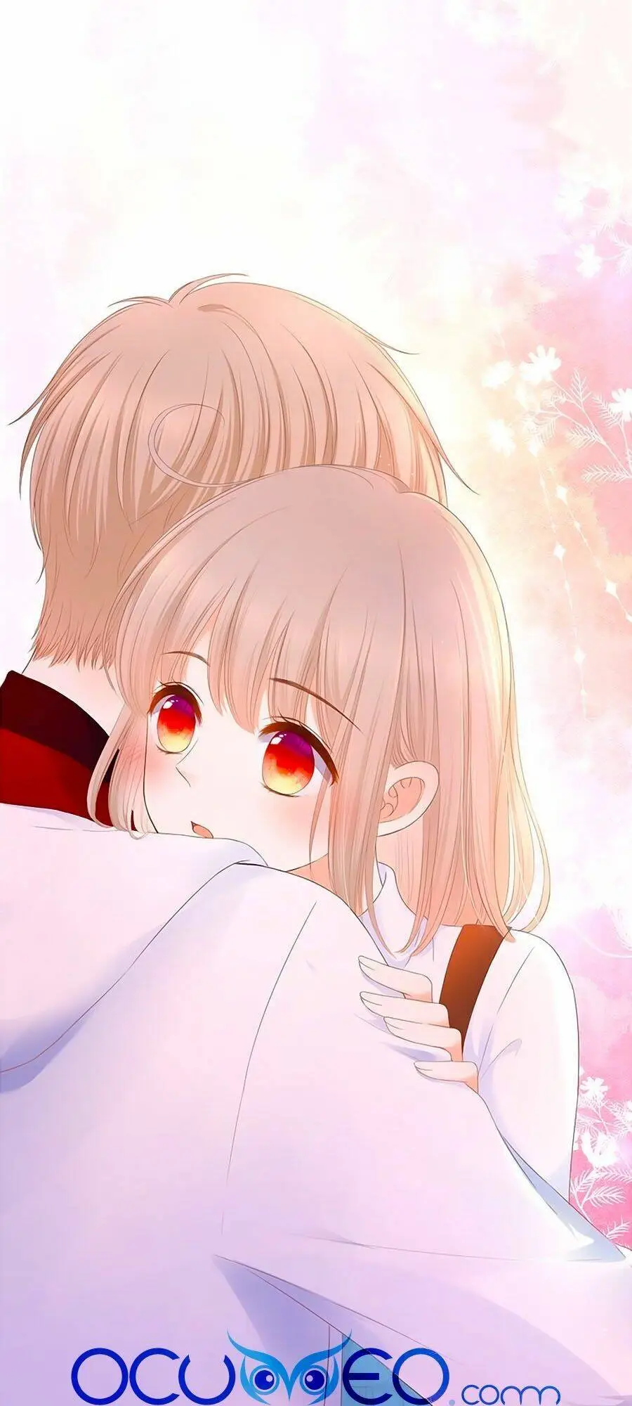 Chapter 31