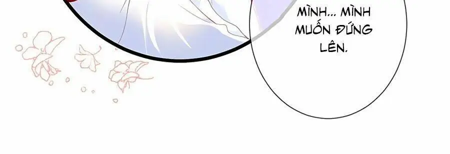 Chapter 31