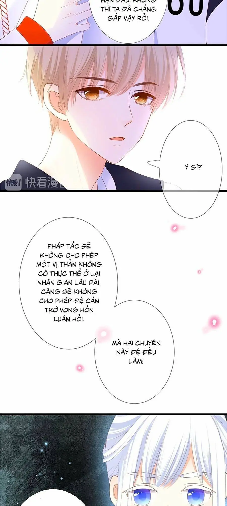 Chapter 29
