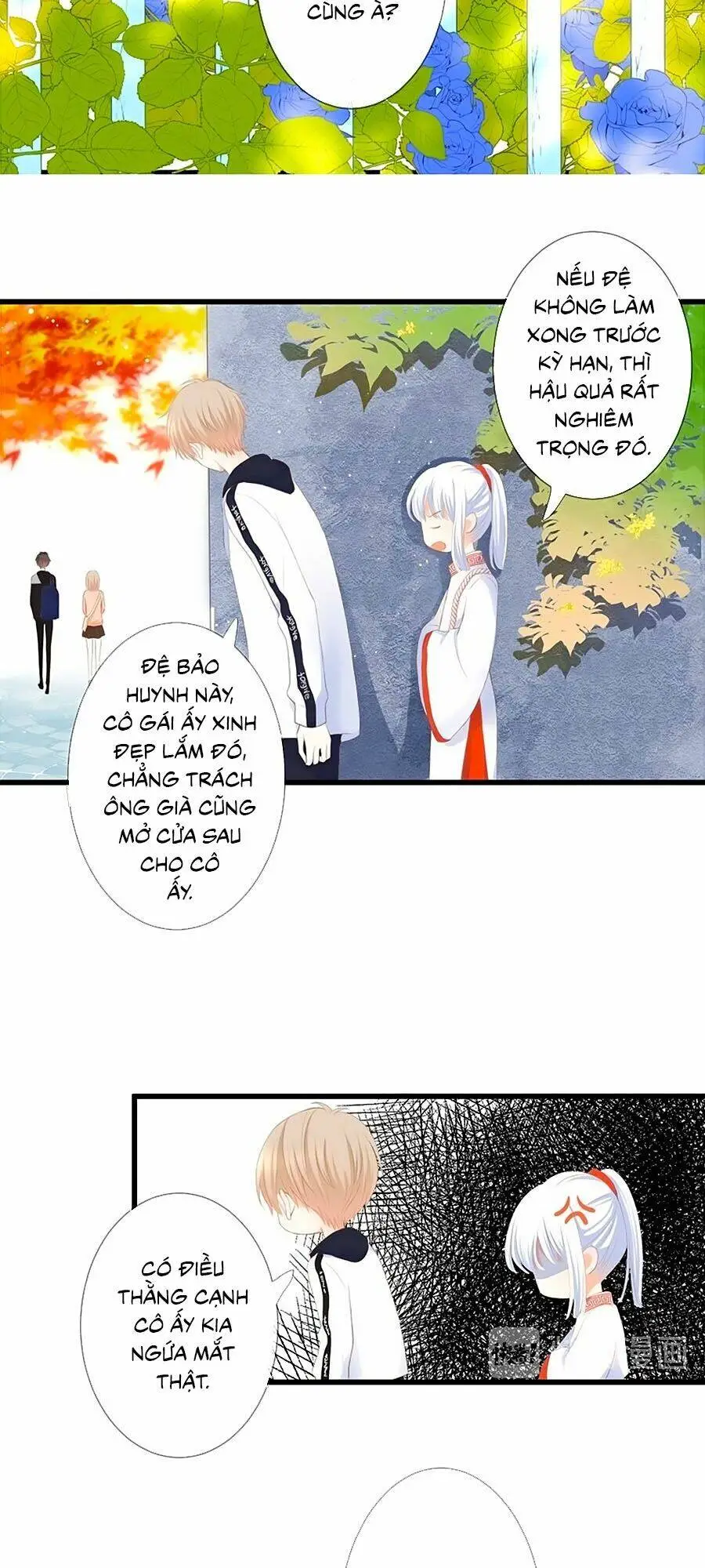 Chapter 29