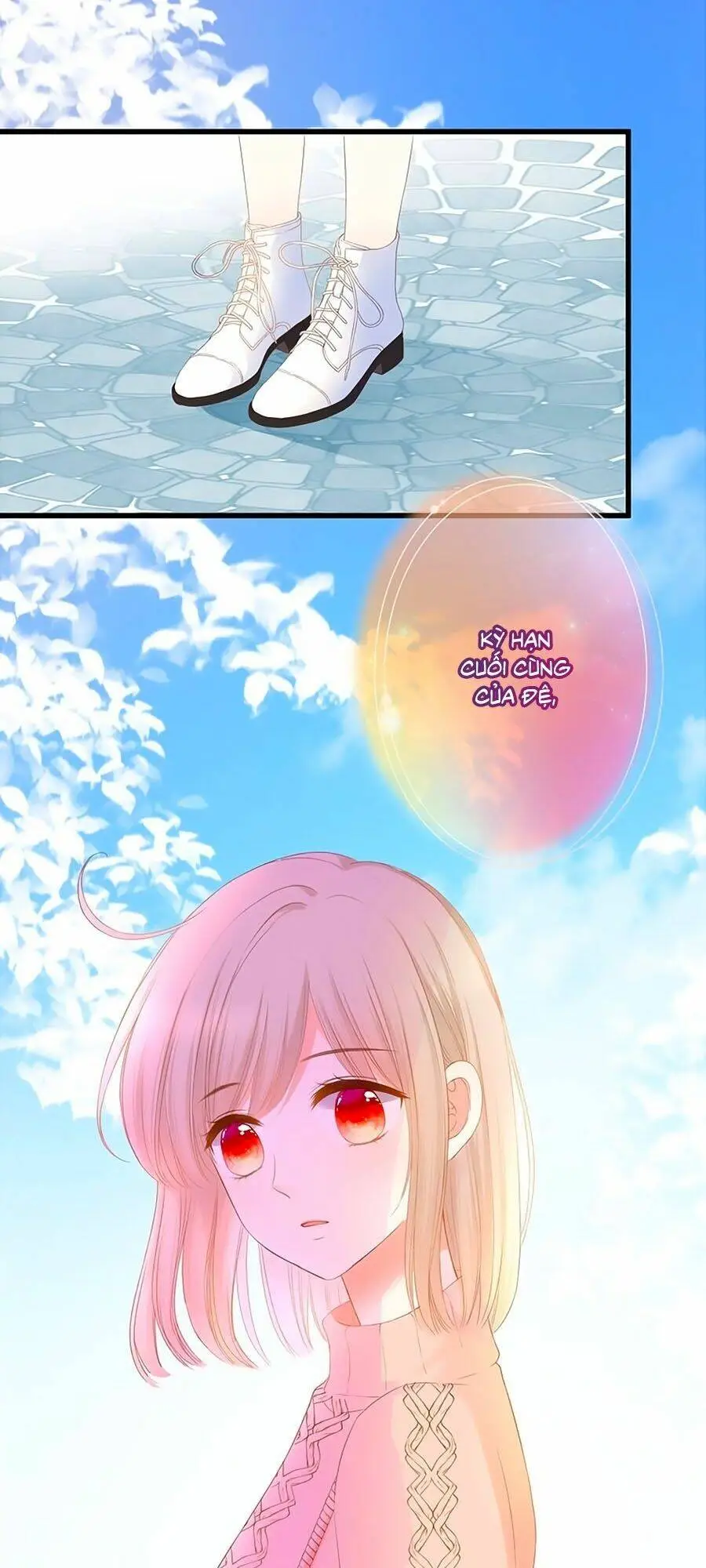 Chapter 29