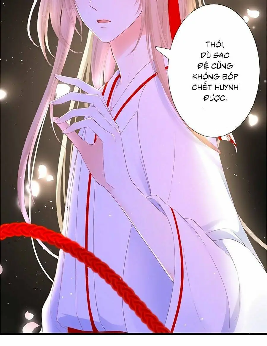 Chapter 29