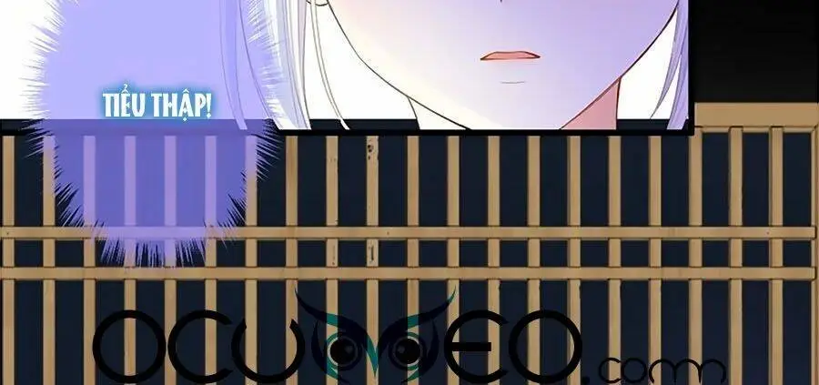 Chapter 28