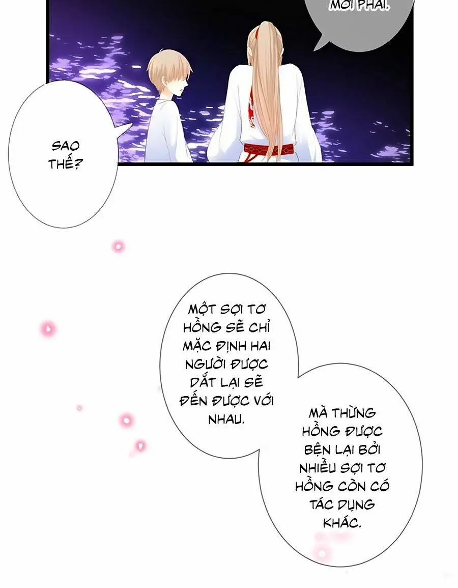 Chapter 28
