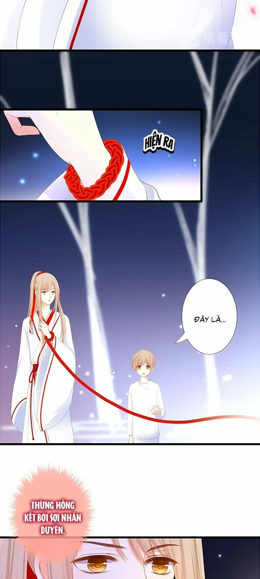Chapter 28