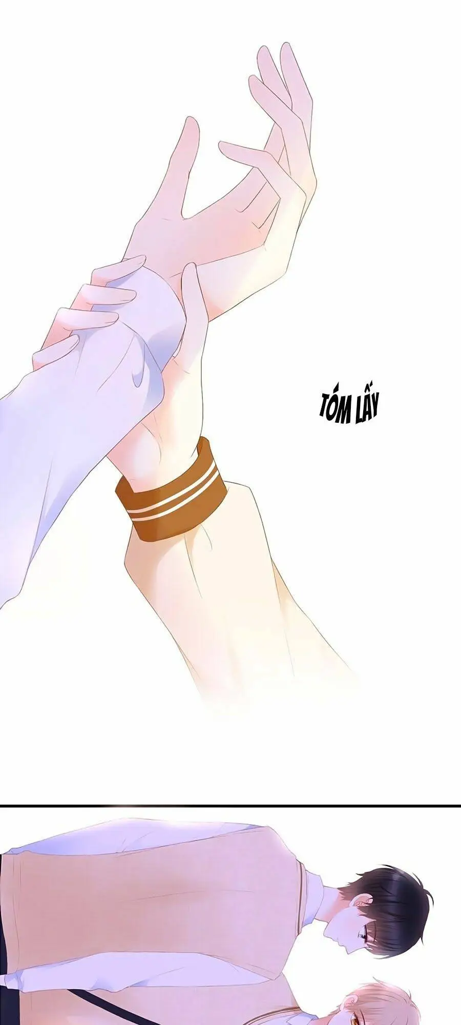 Chapter 26