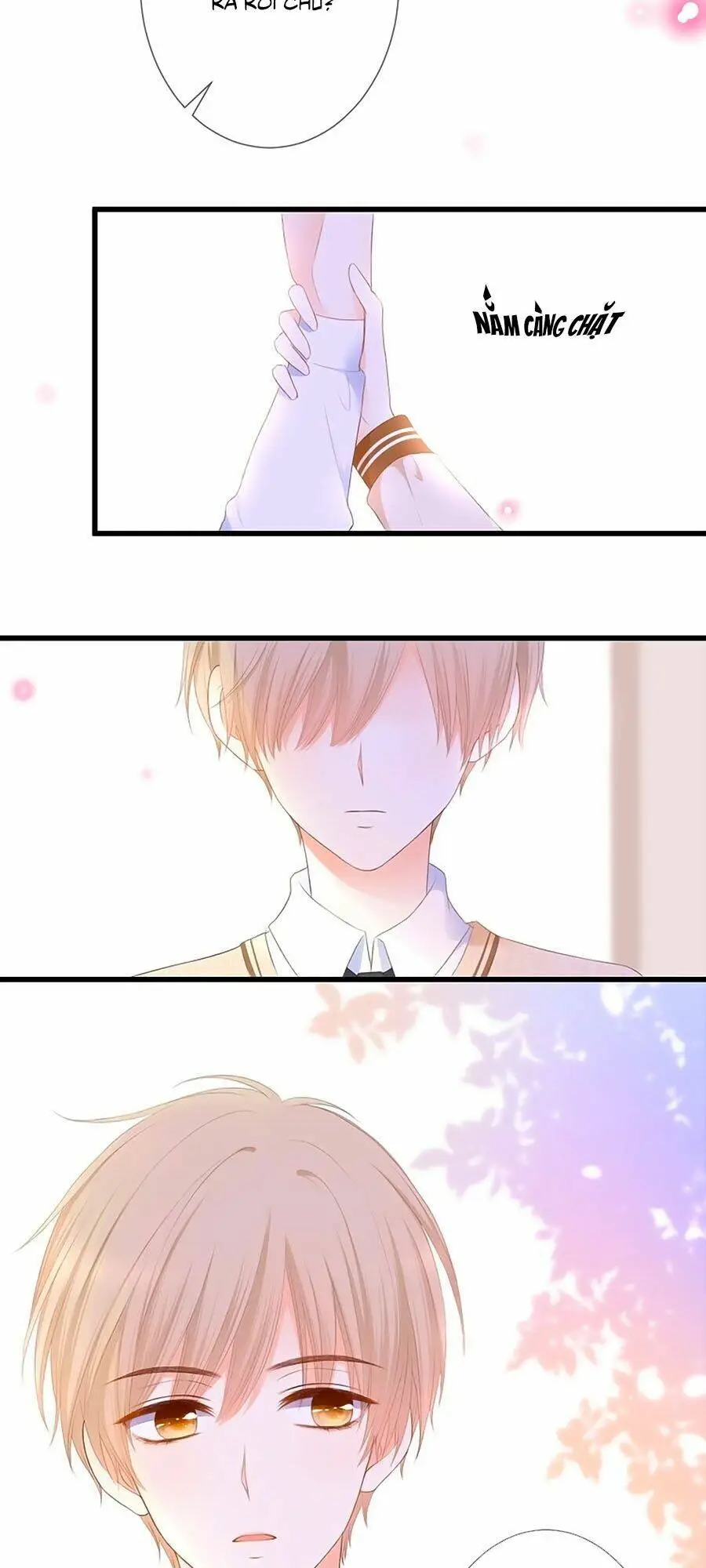 Chapter 26