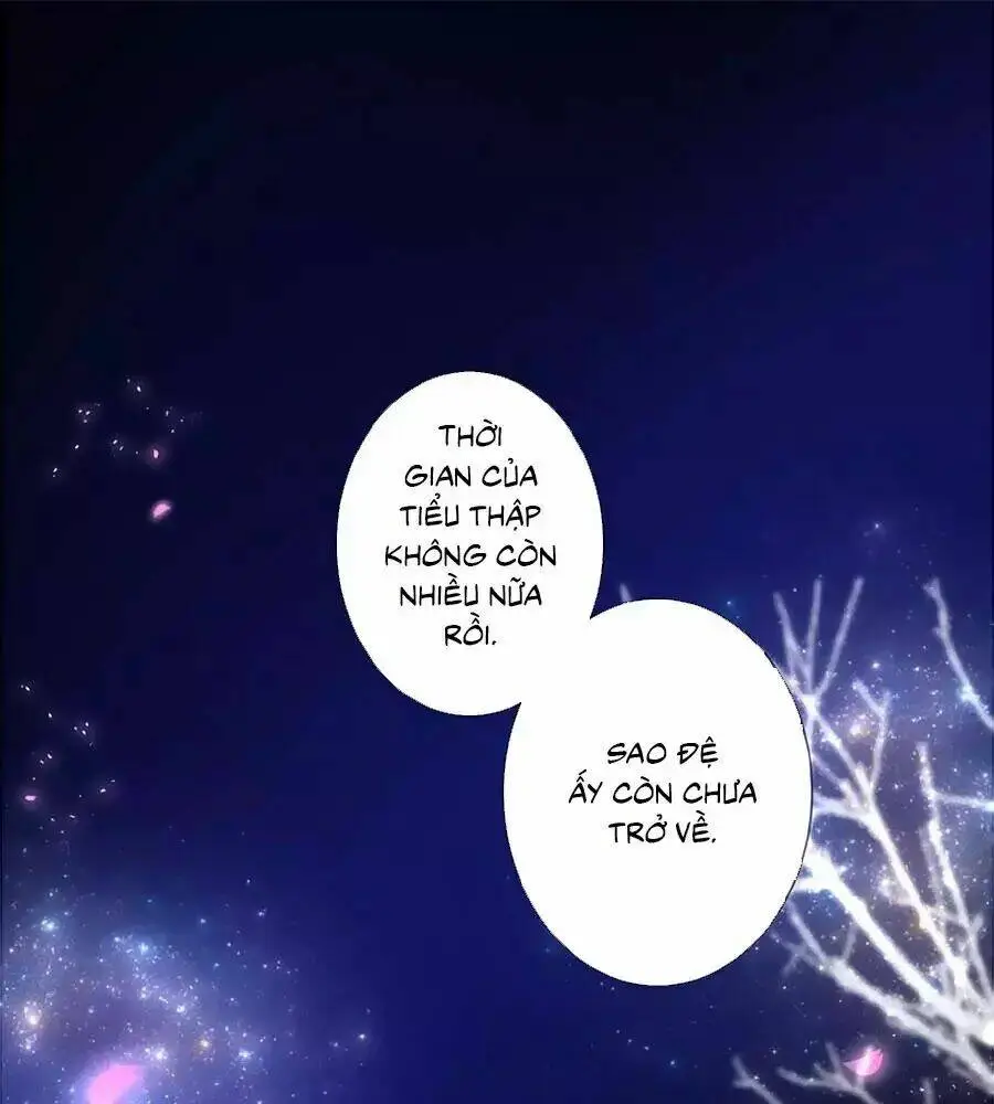 Chapter 23