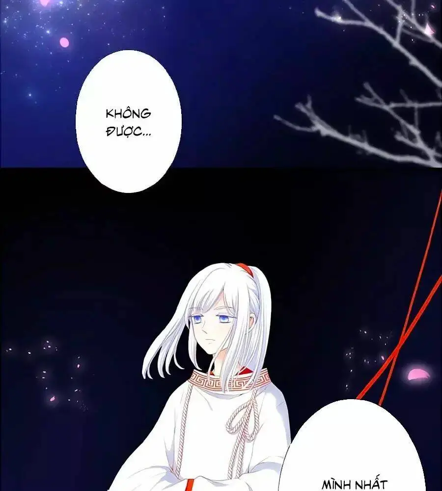 Chapter 23