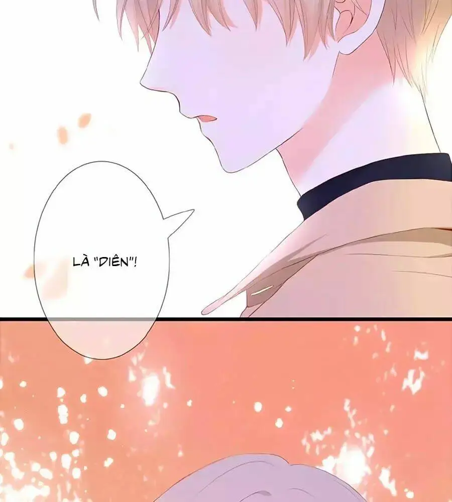 Chapter 23