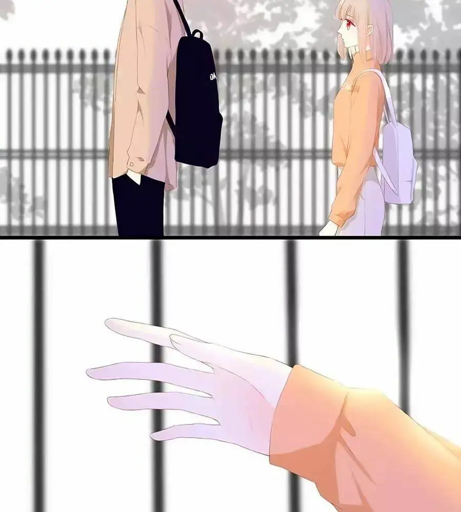 Chapter 23
