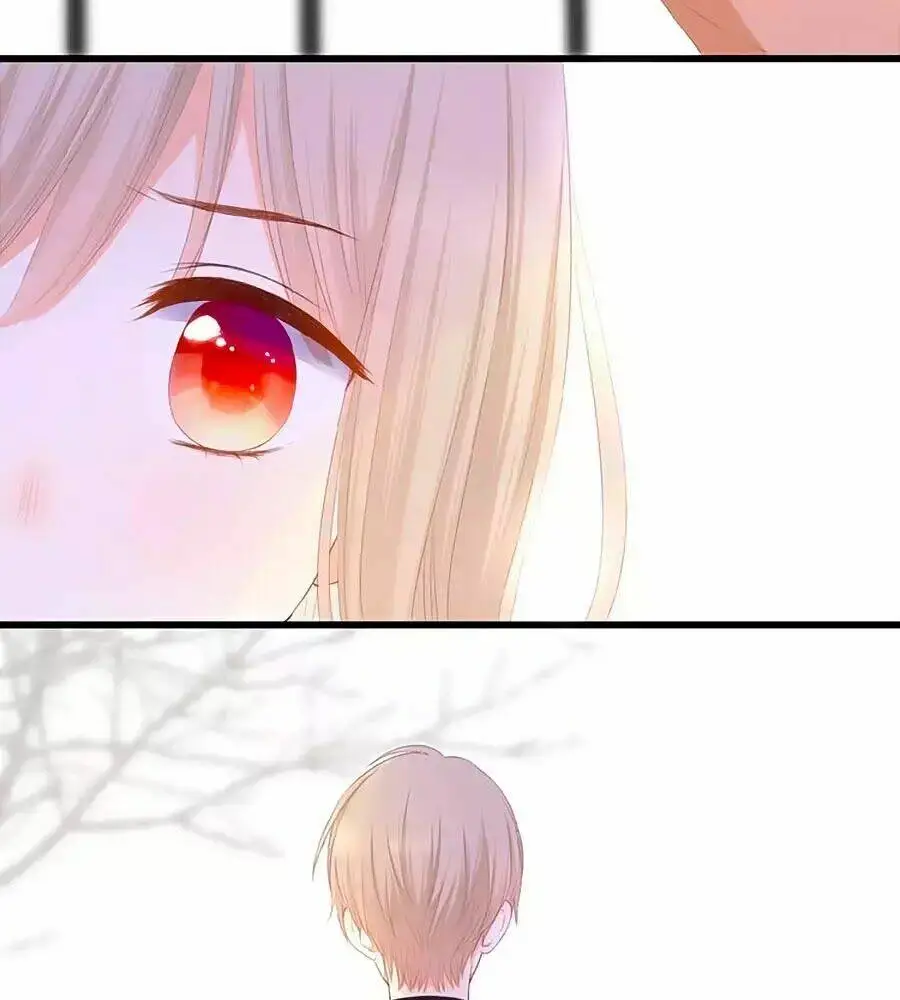 Chapter 23