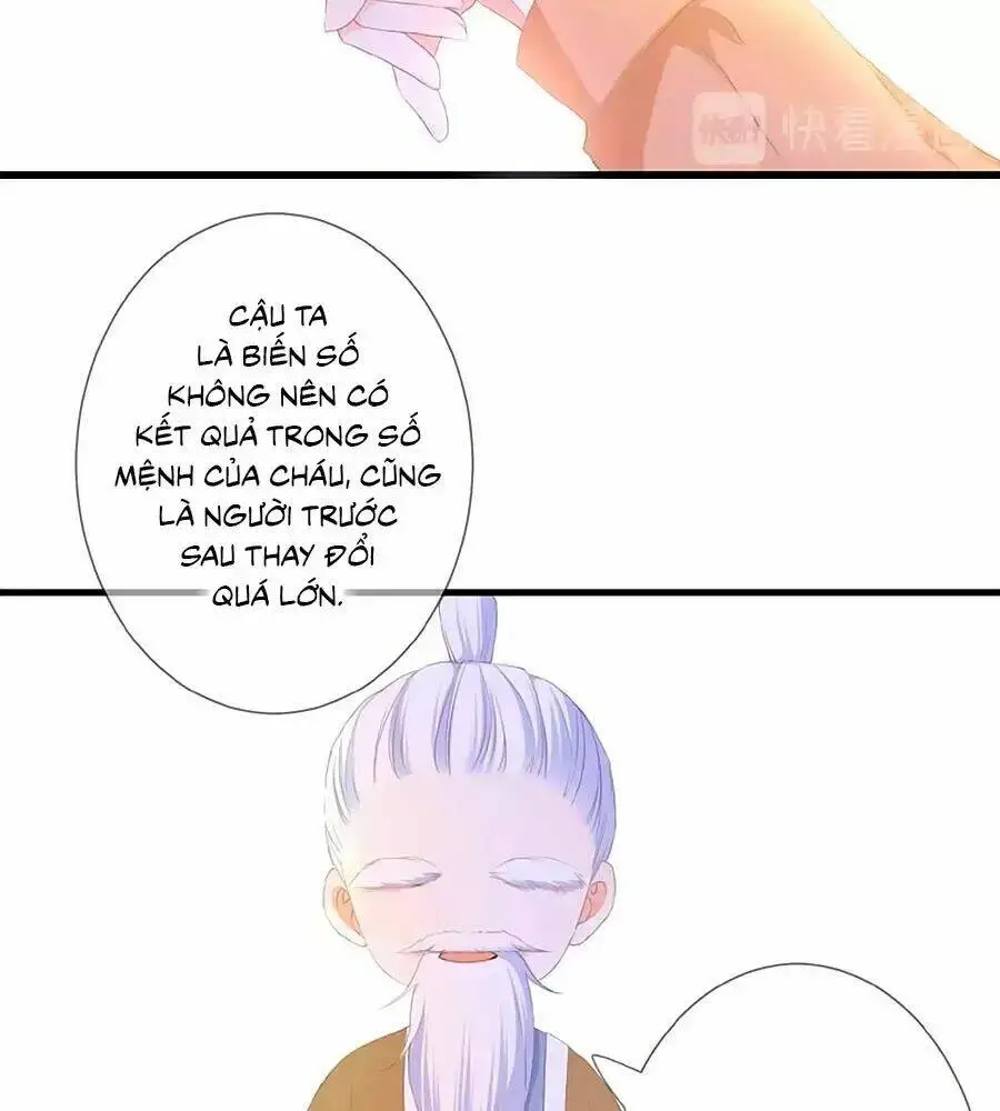 Chapter 23