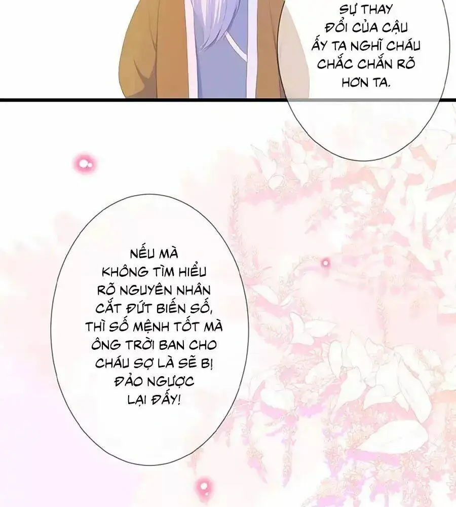Chapter 23