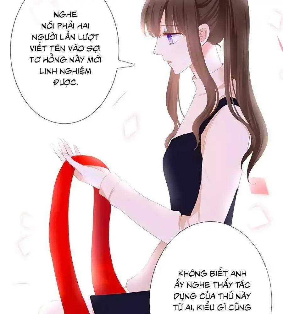 Chapter 23