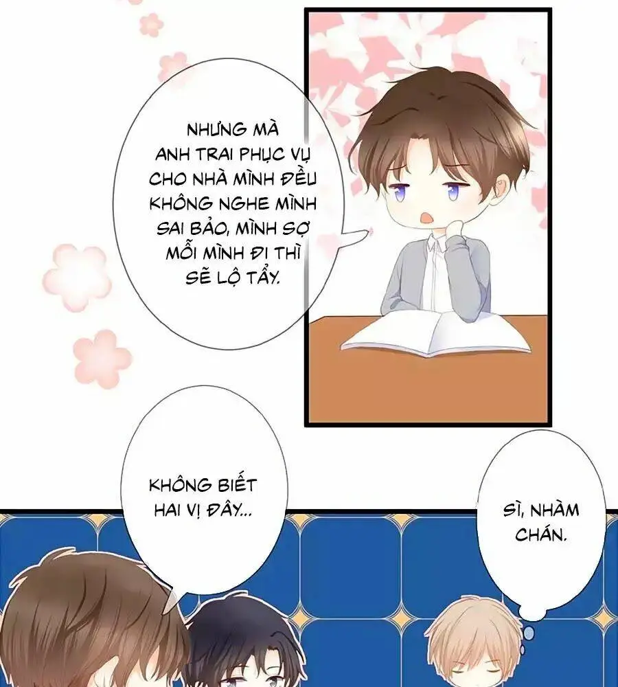 Chapter 23