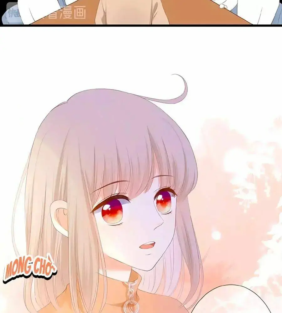 Chapter 23