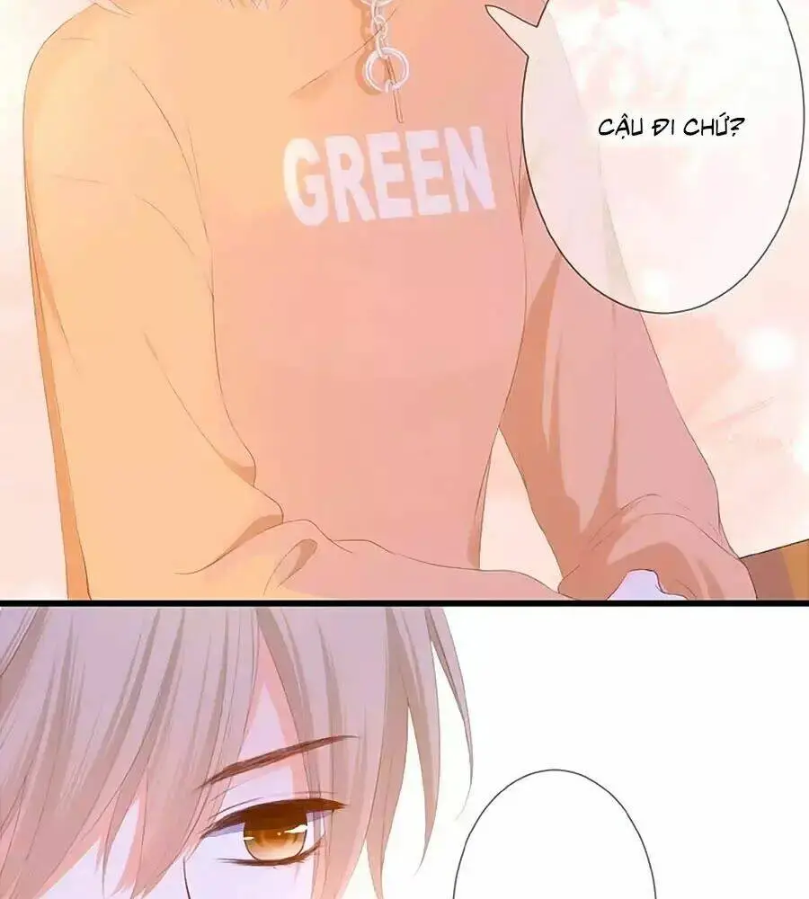 Chapter 23