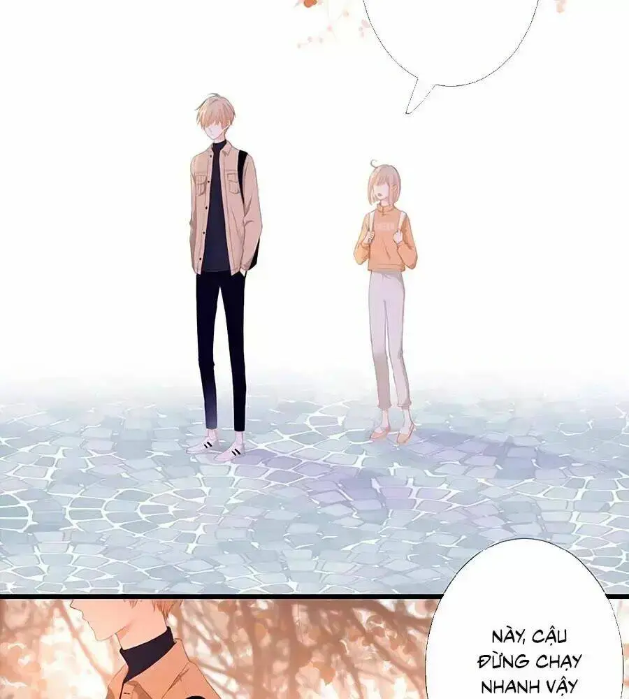 Chapter 23