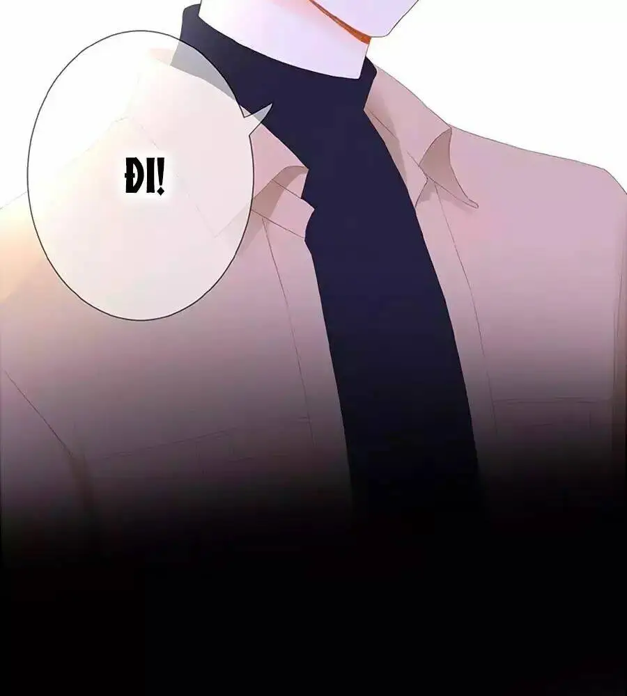 Chapter 23