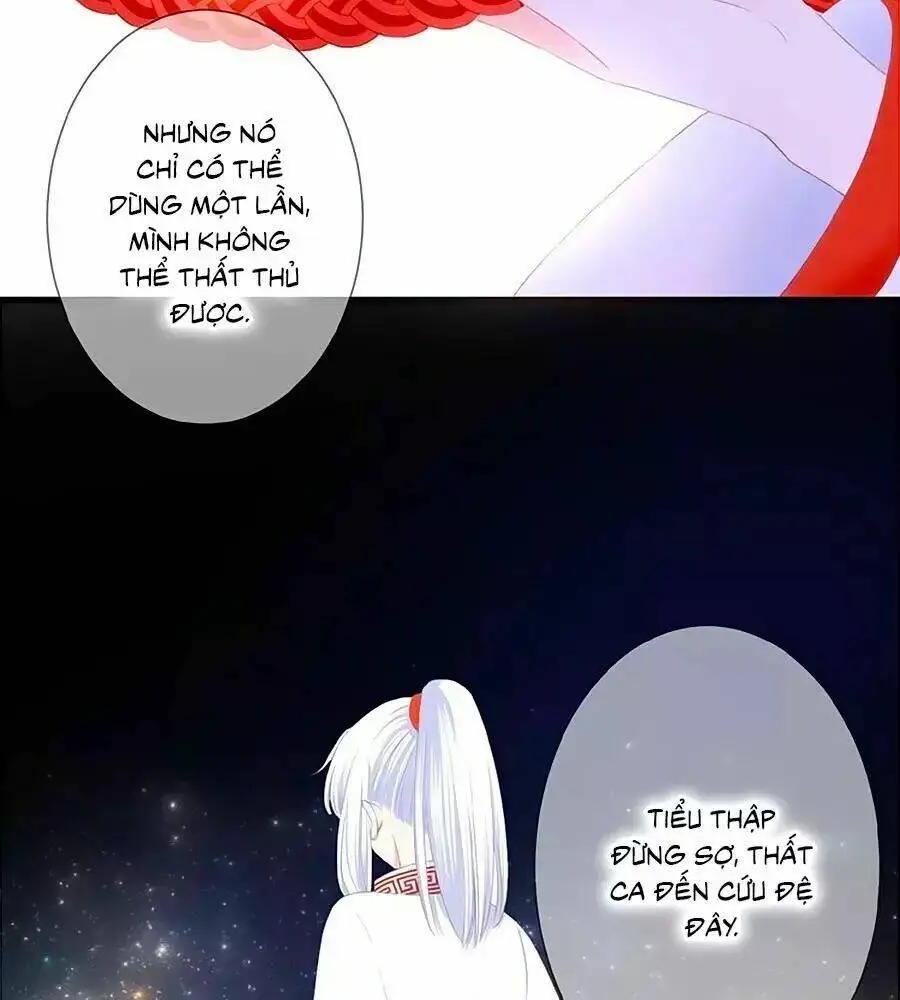 Chapter 23