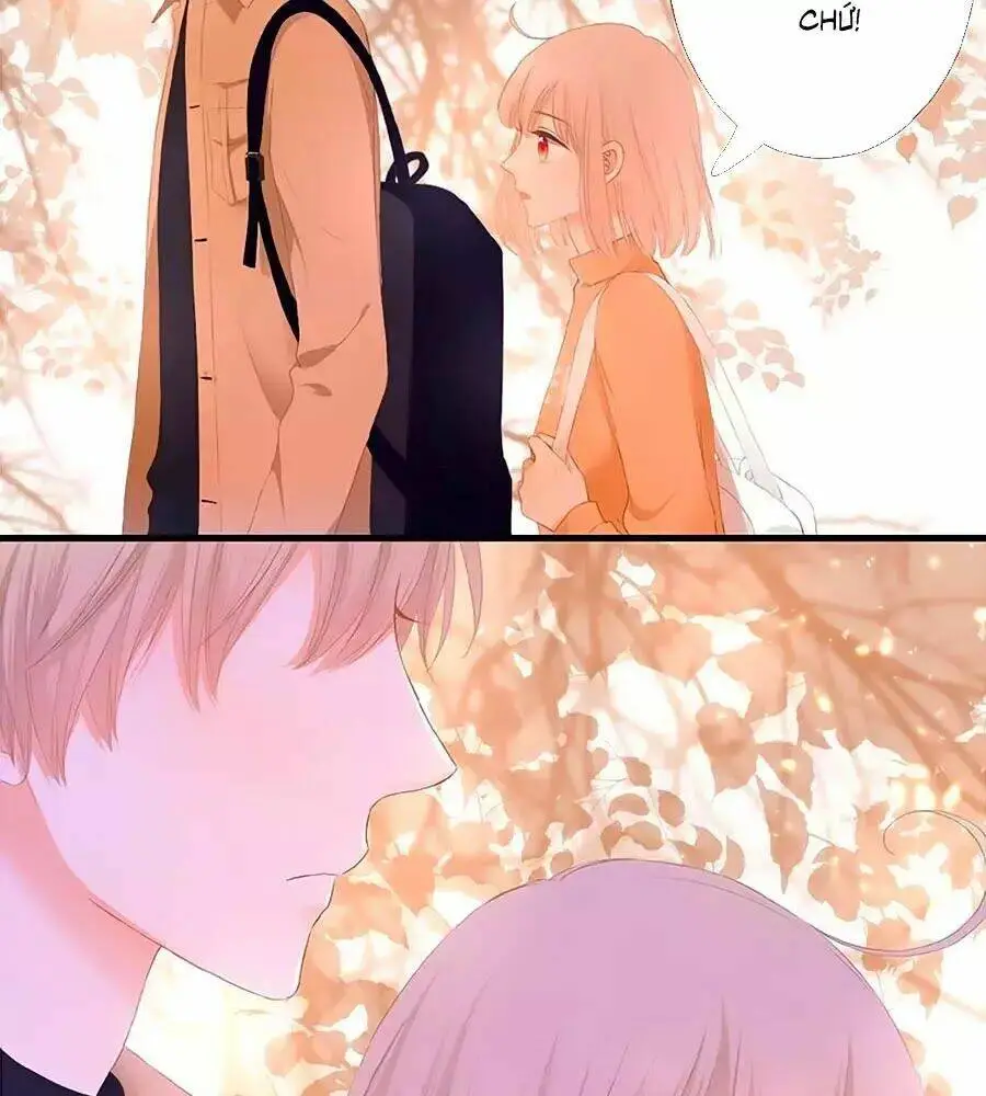 Chapter 23