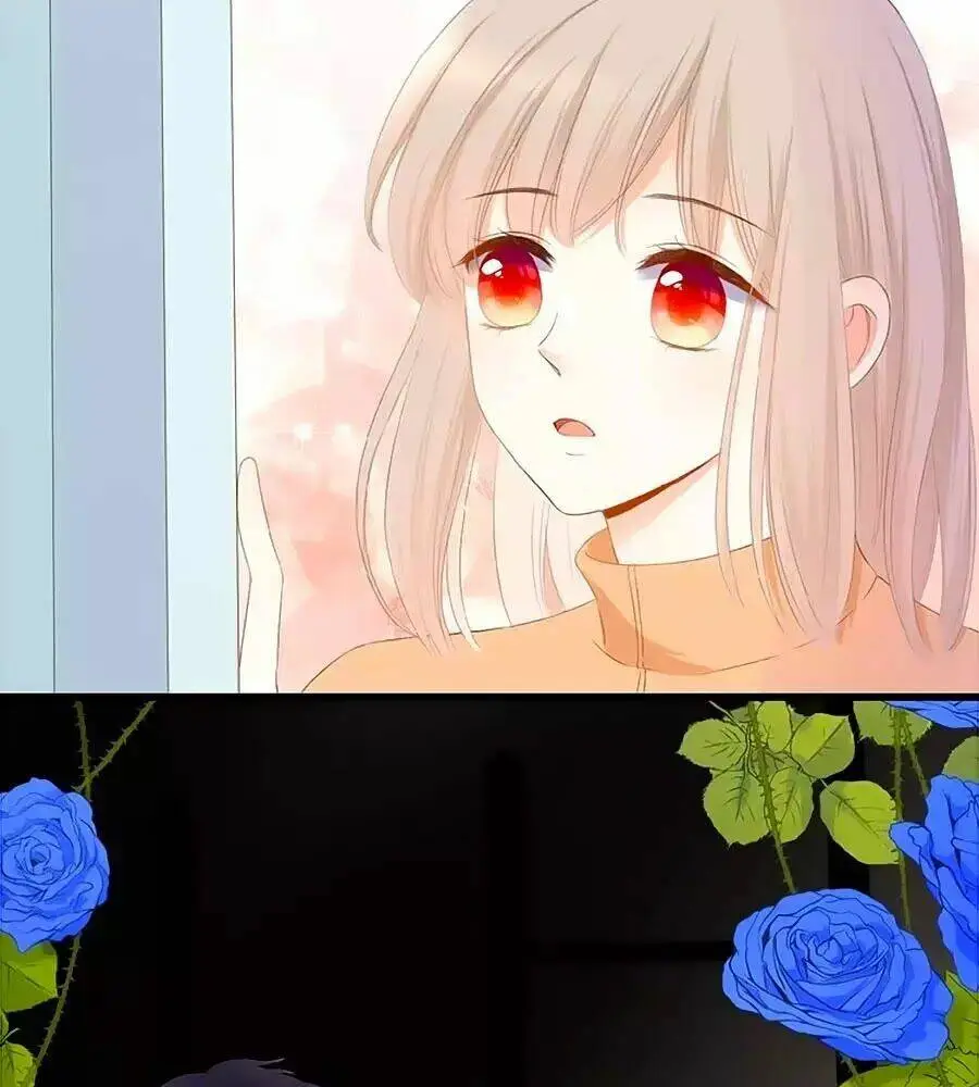 Chapter 23