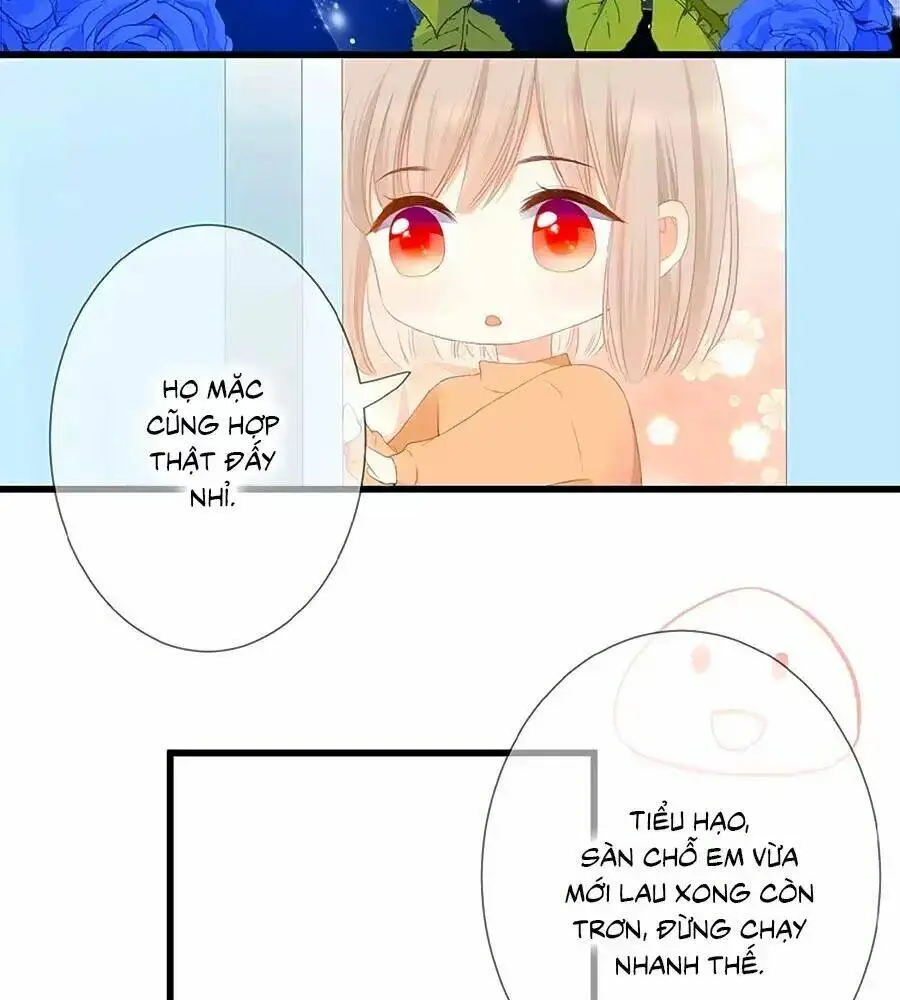 Chapter 23