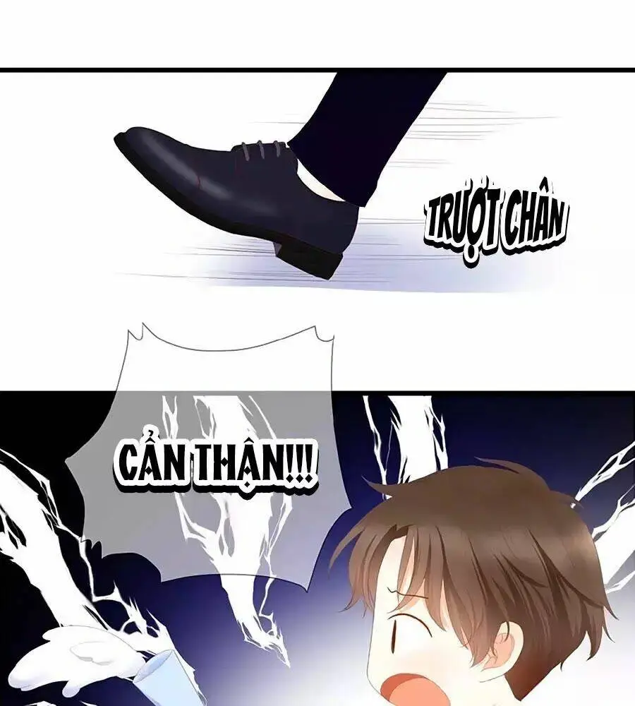 Chapter 23