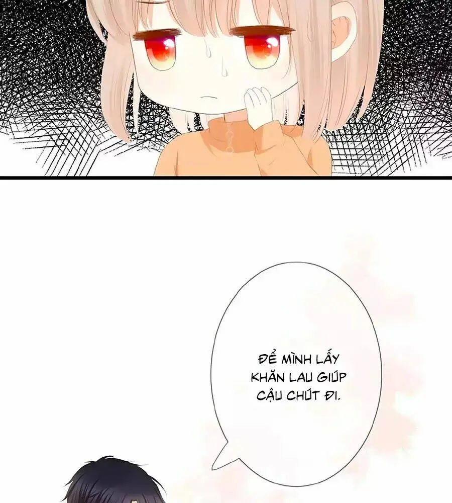 Chapter 23