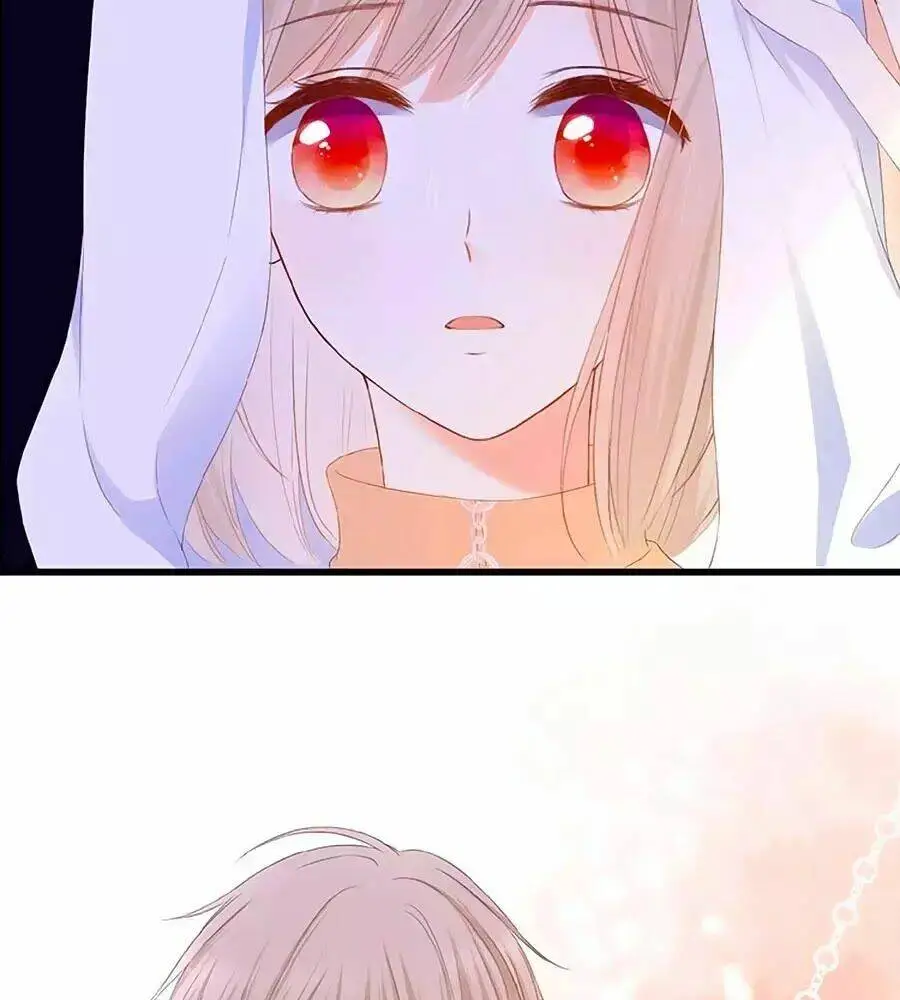 Chapter 23