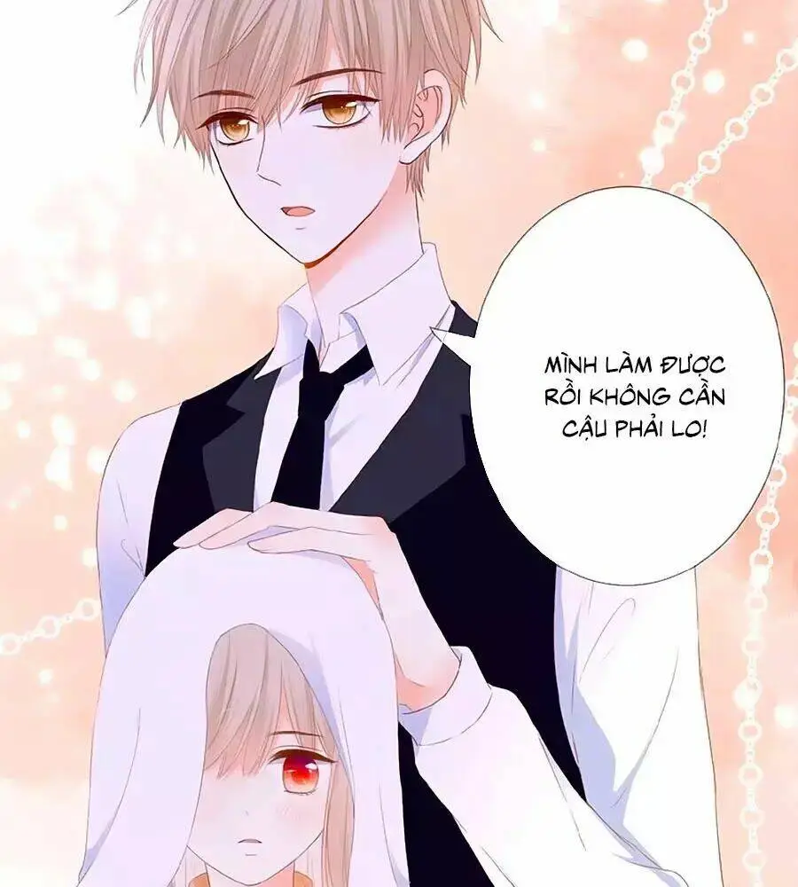 Chapter 23