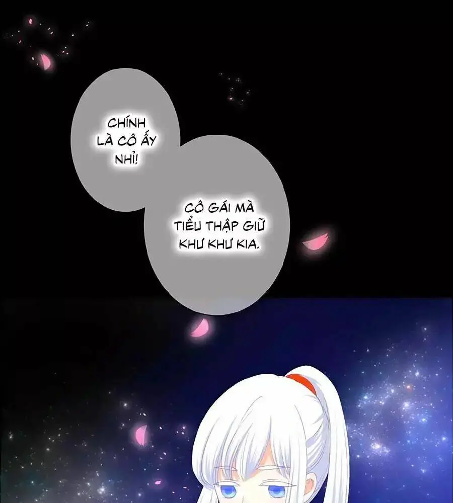 Chapter 23