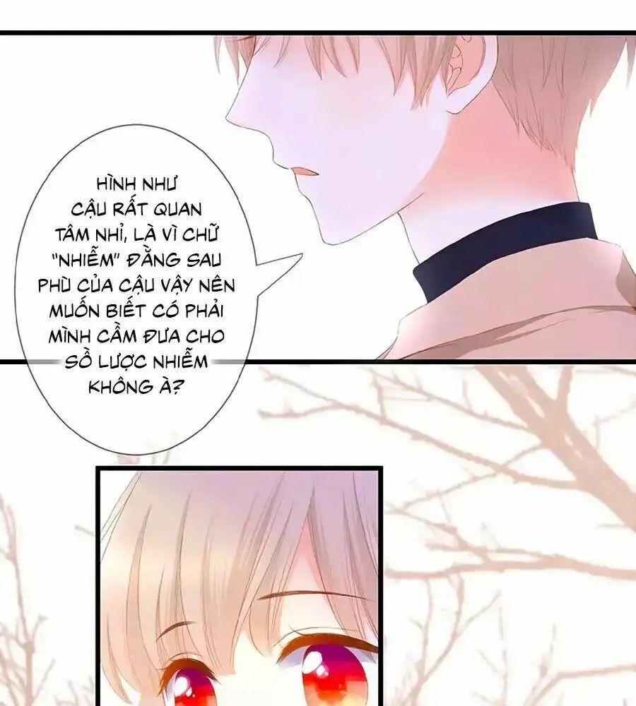 Chapter 23