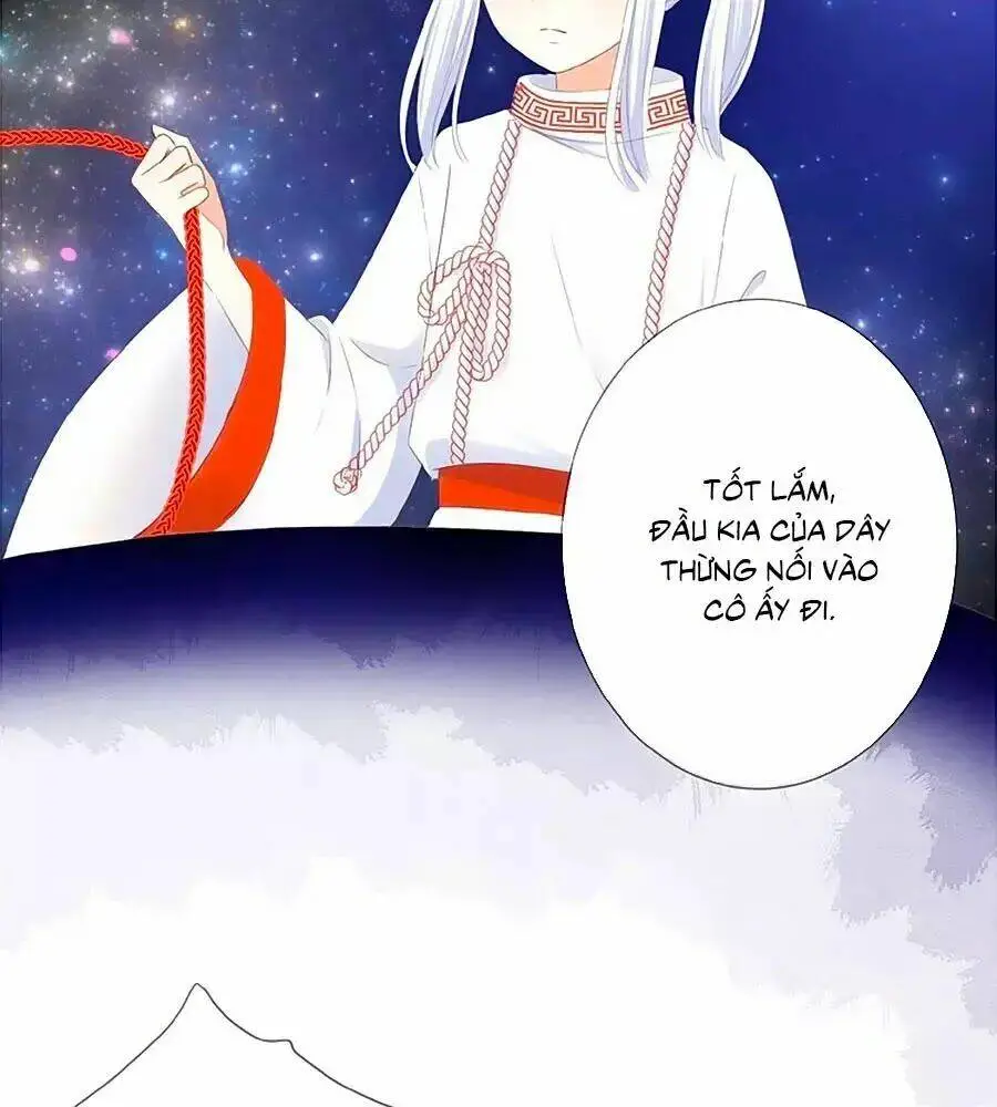 Chapter 23
