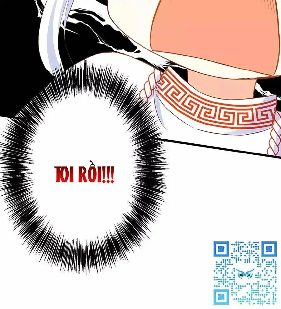 Chapter 23