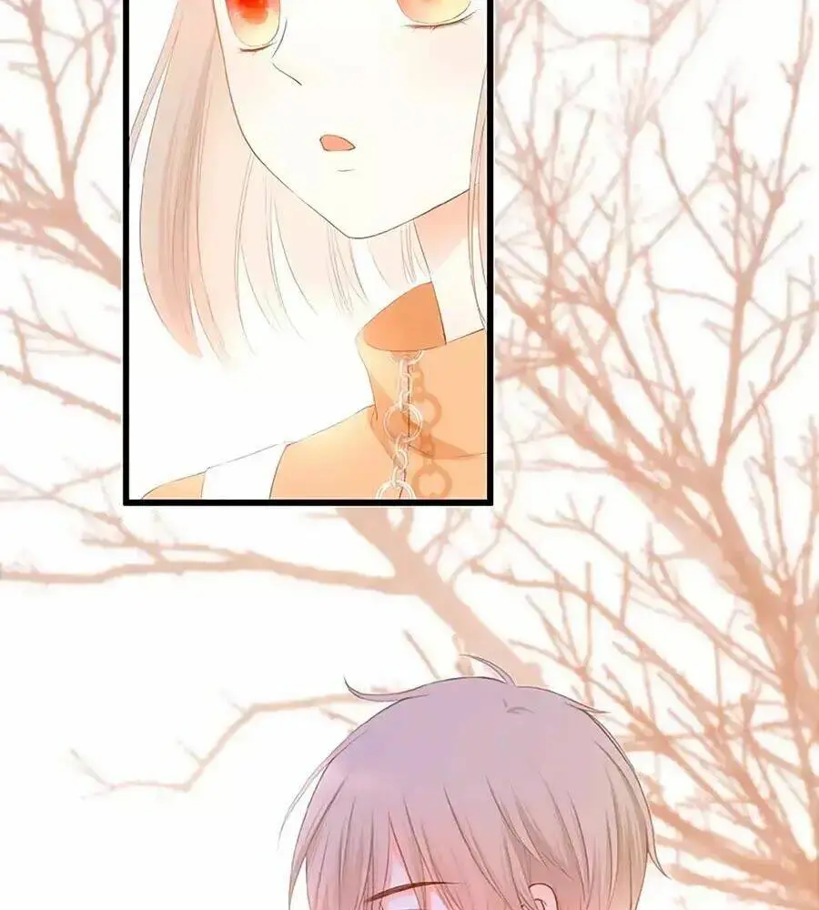 Chapter 23