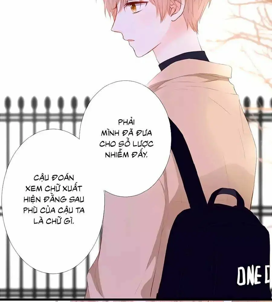 Chapter 23