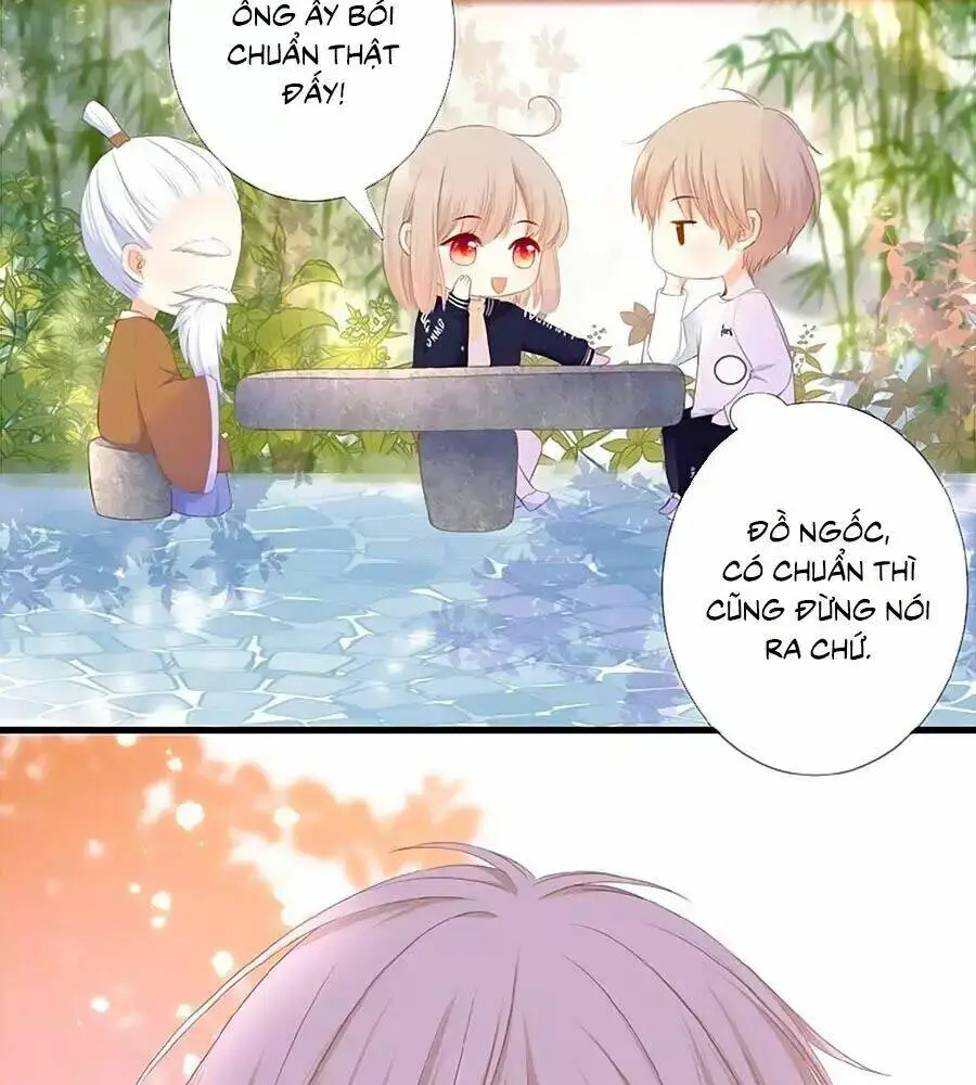 Chapter 22
