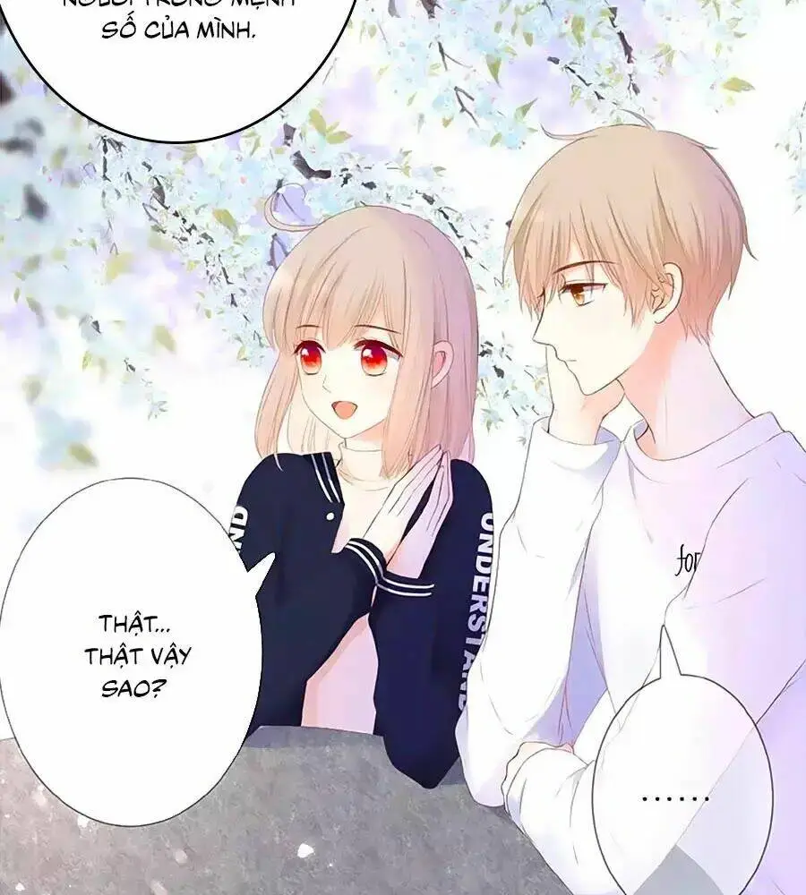 Chapter 22