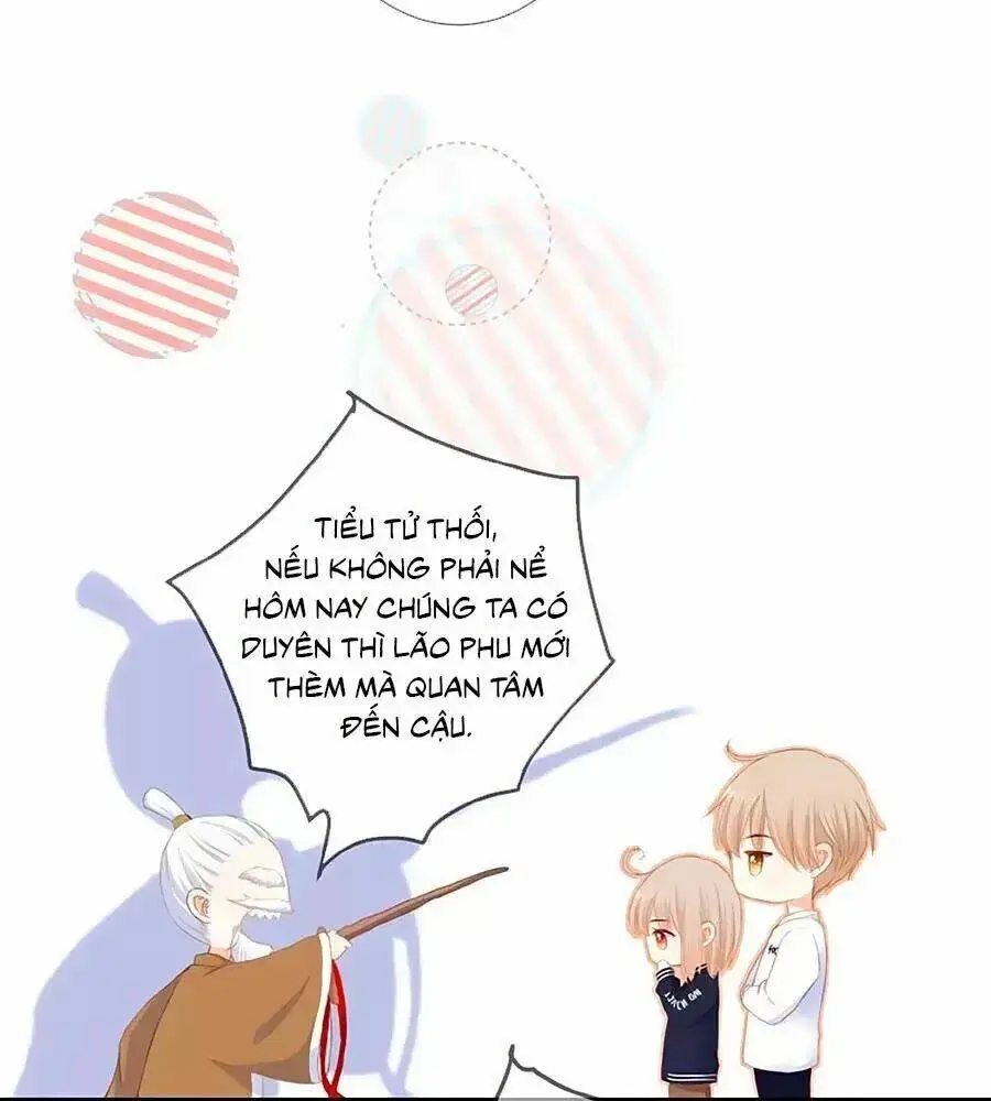 Chapter 22
