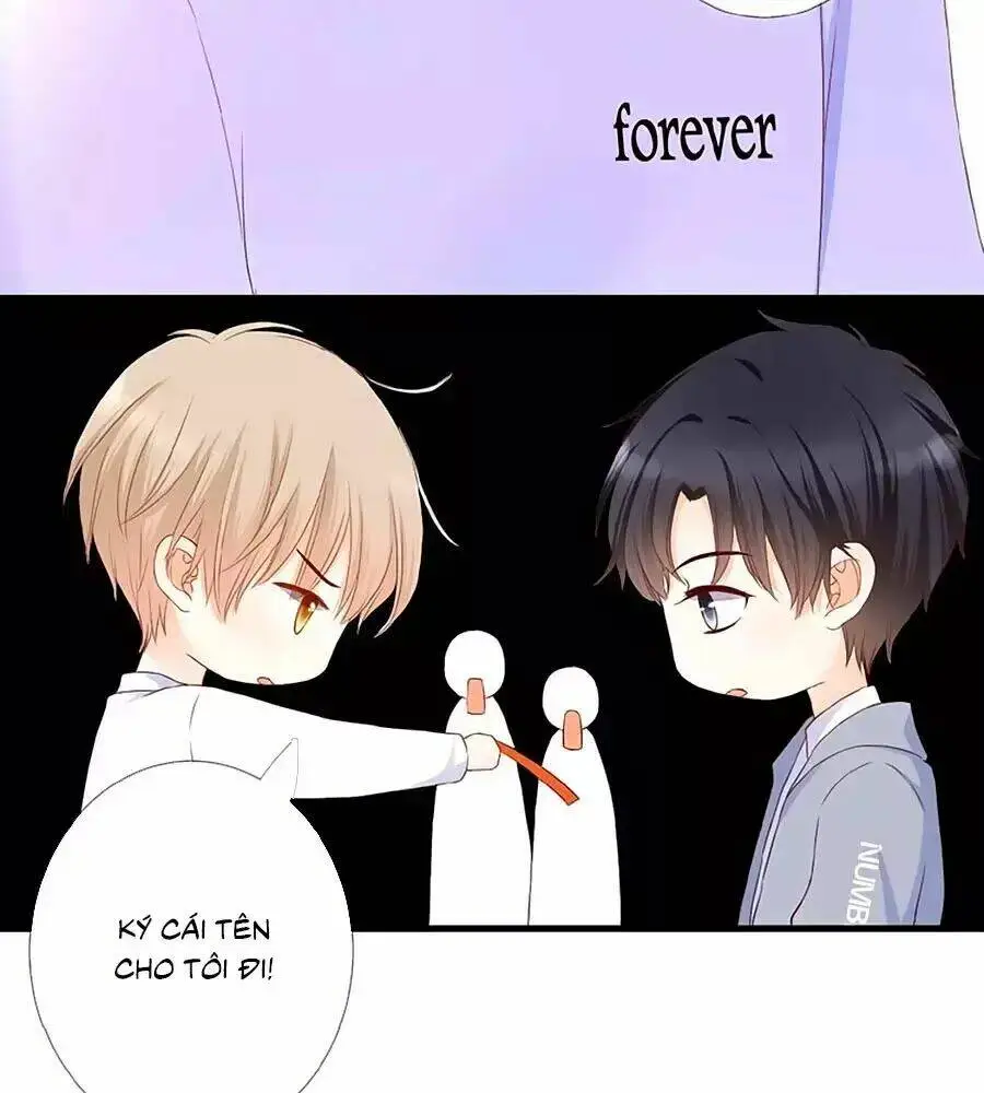 Chapter 22
