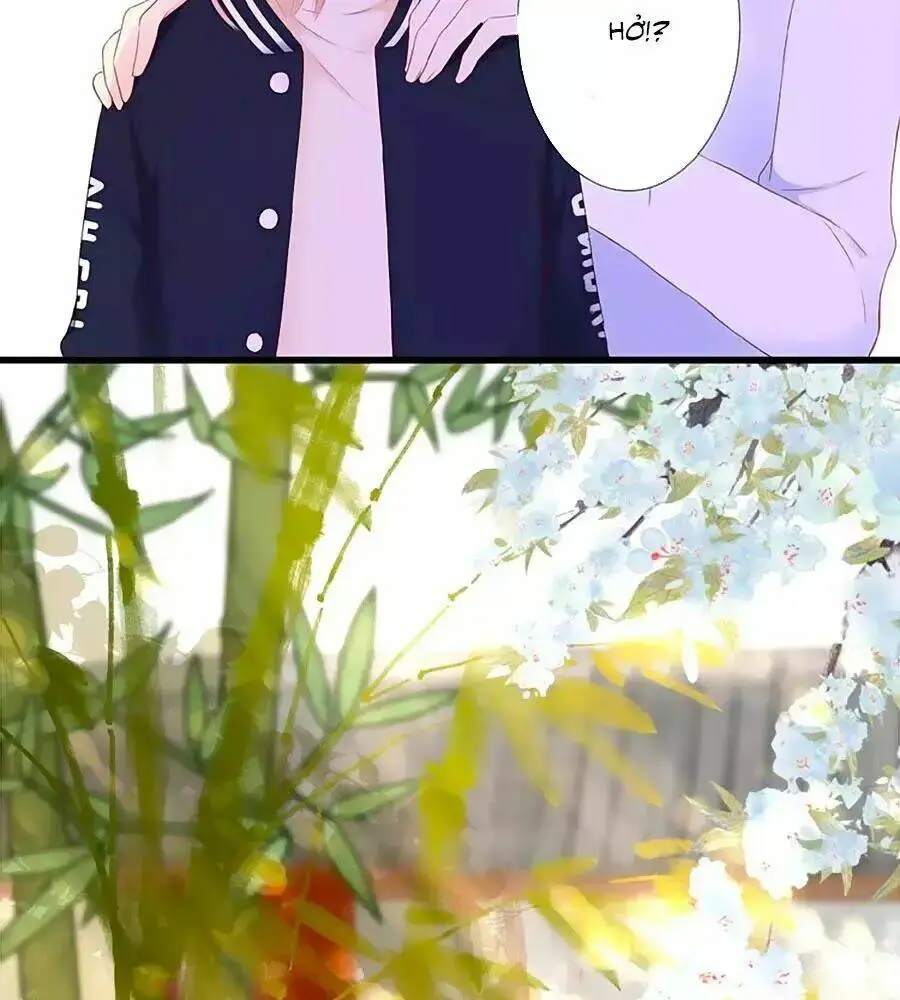 Chapter 22